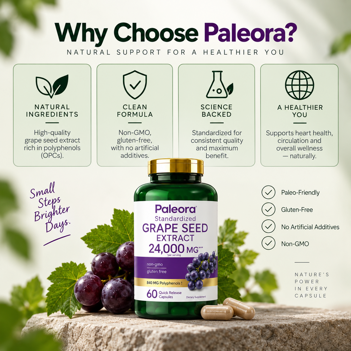 Grape Seed Extract