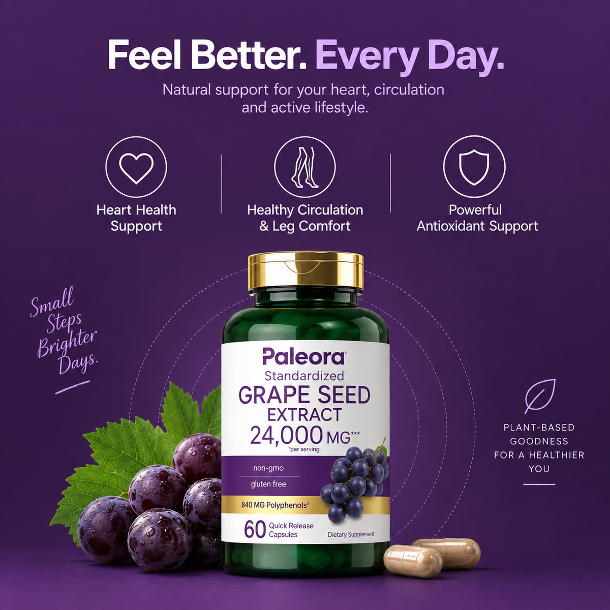 Grape Seed Extract